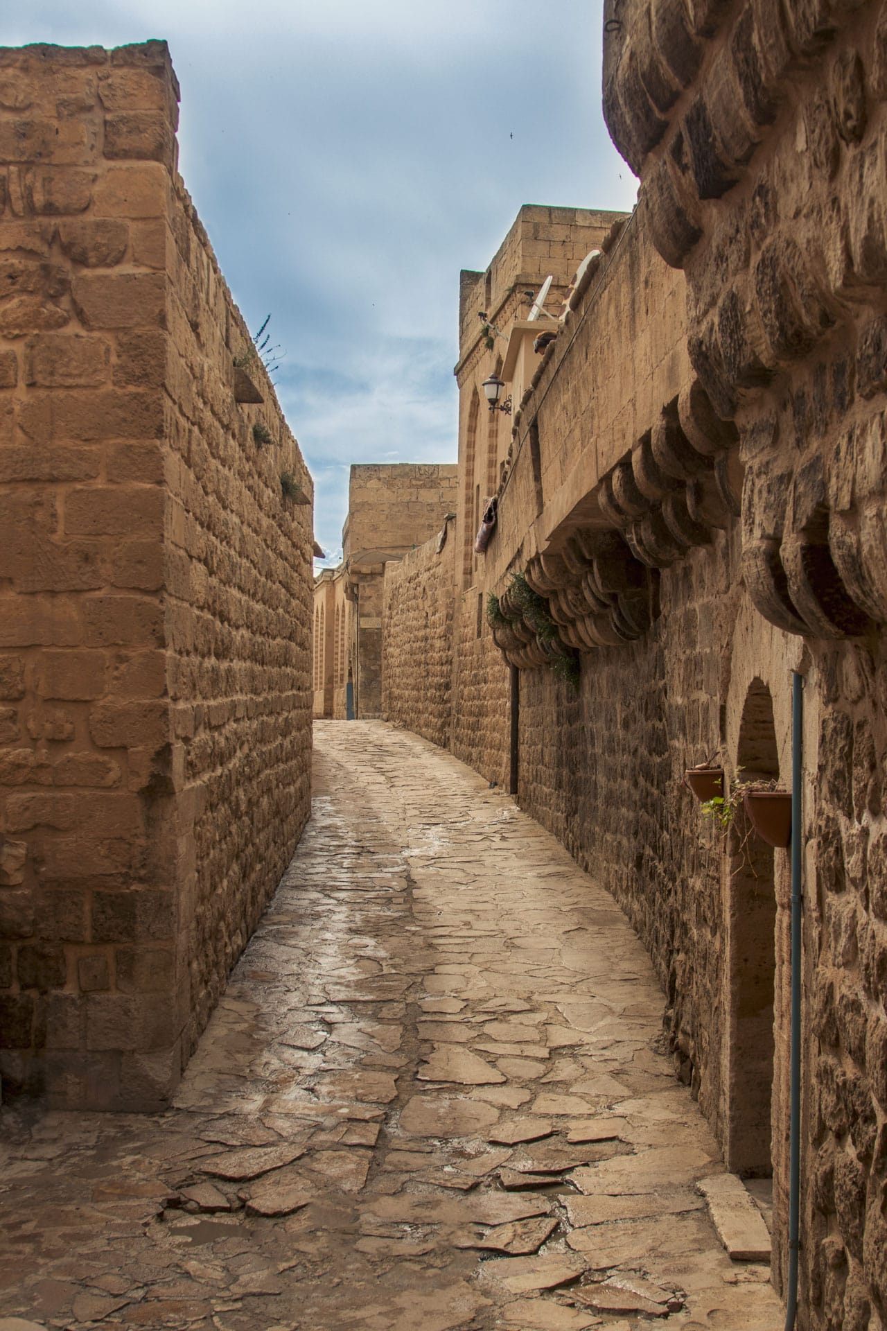 Mardin